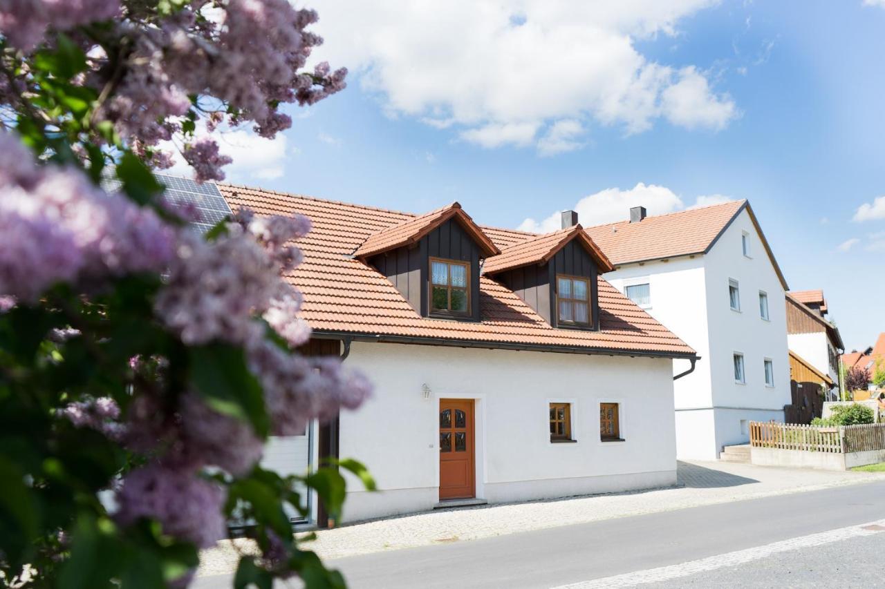 Ferienwohnungen Koehler Neualbenreuth Eksteriør billede